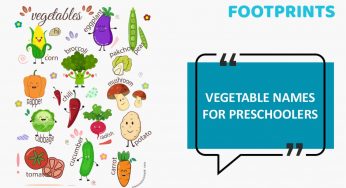 Vegetable Names in English For Preschoolers – Explore the List