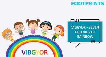 The Seven Colors Of The Rainbow : VIBGYOR