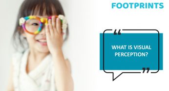 What Is Visual Perception? Definition, Theories & Importance